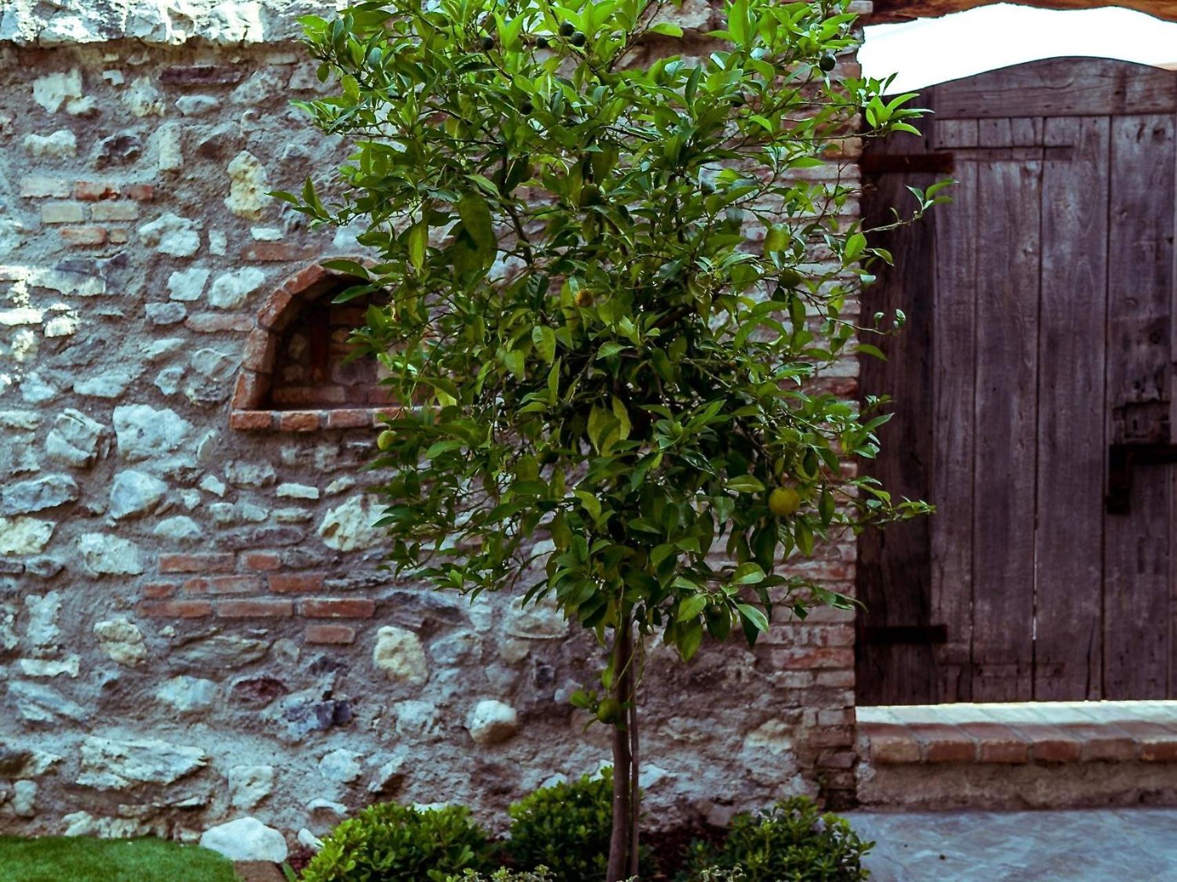 Villa Fontanelle Gardapartments ポルペナッツェ・デル・ガルダ エクステリア 写真